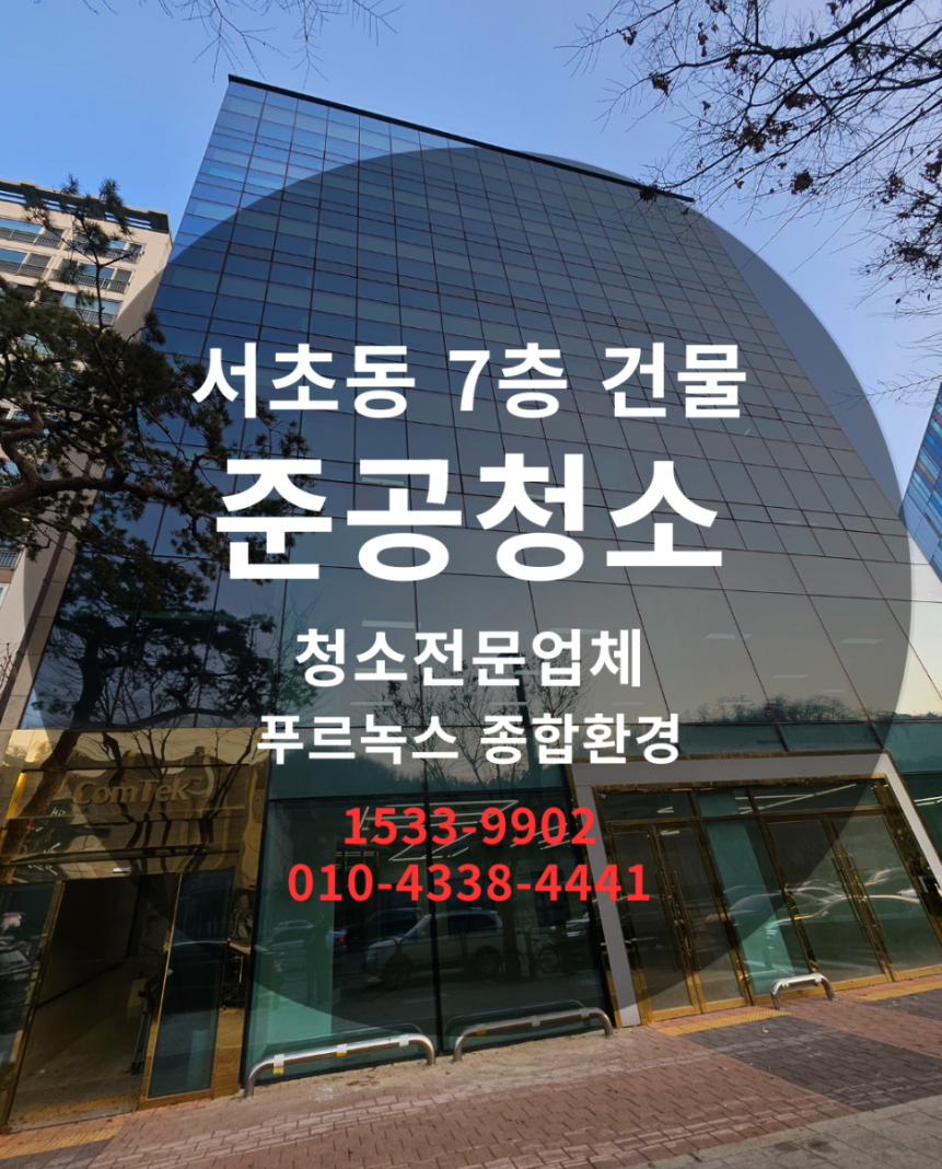 갤러리 이미지 10